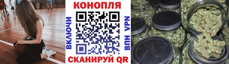 Бошки марихуана сатива  Заозёрск 